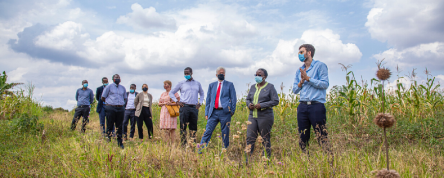 Green Rwanda Initiative Rwanda Green Fund